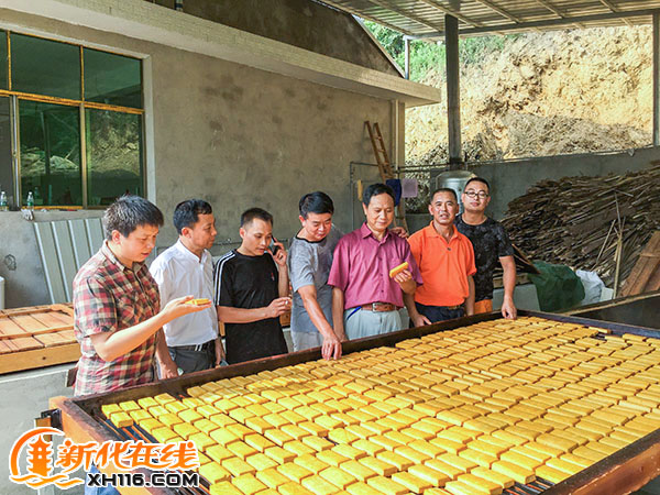 新化电子商务协会会长刘应知一行考察白溪豆腐产业，拟建立电商平台
